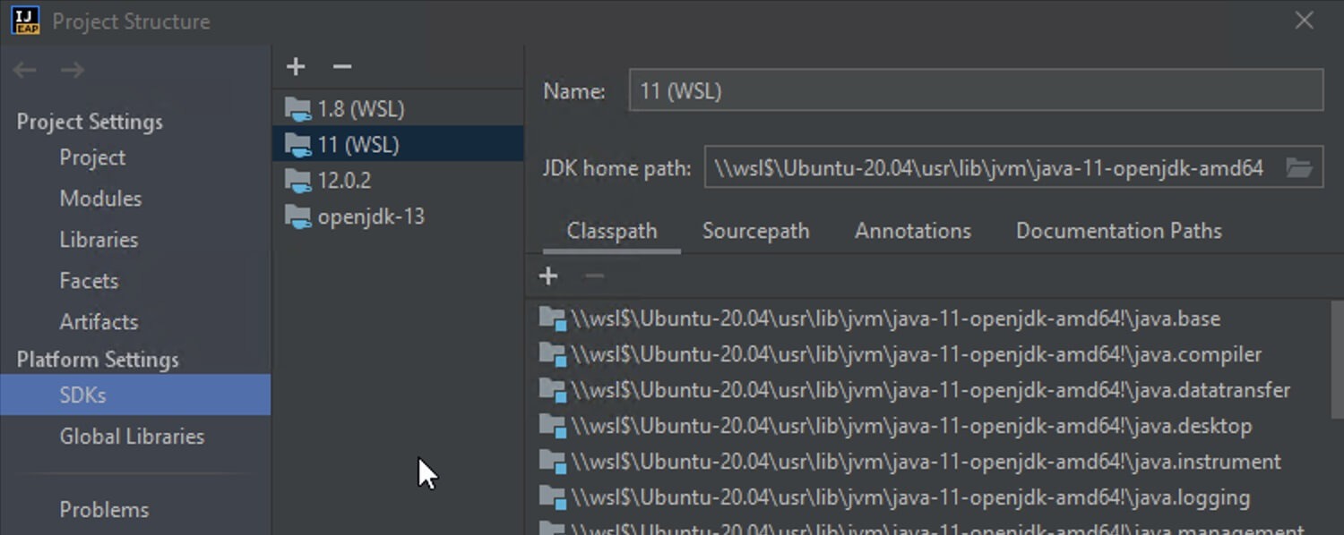 IntelliJ 2021.1 WSL