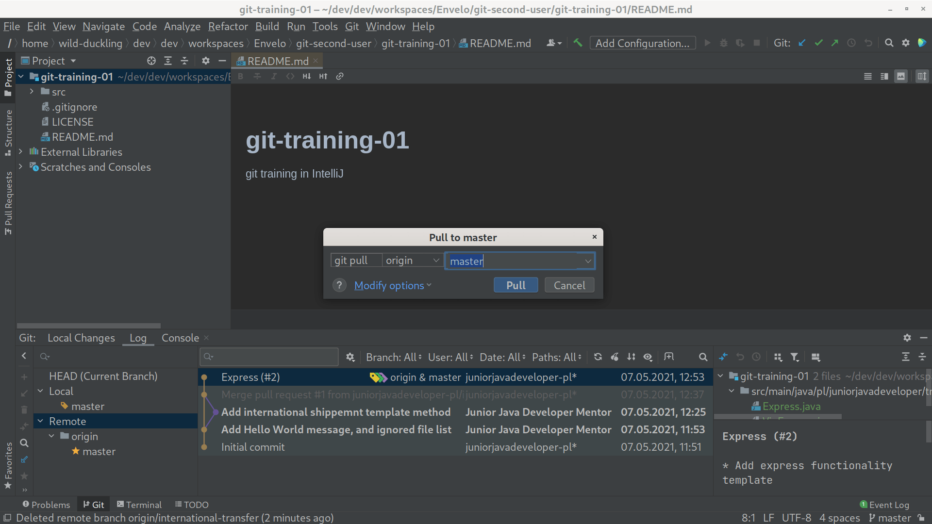 git intellij pull