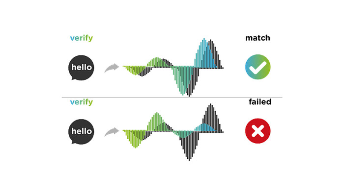 voice pin biometria